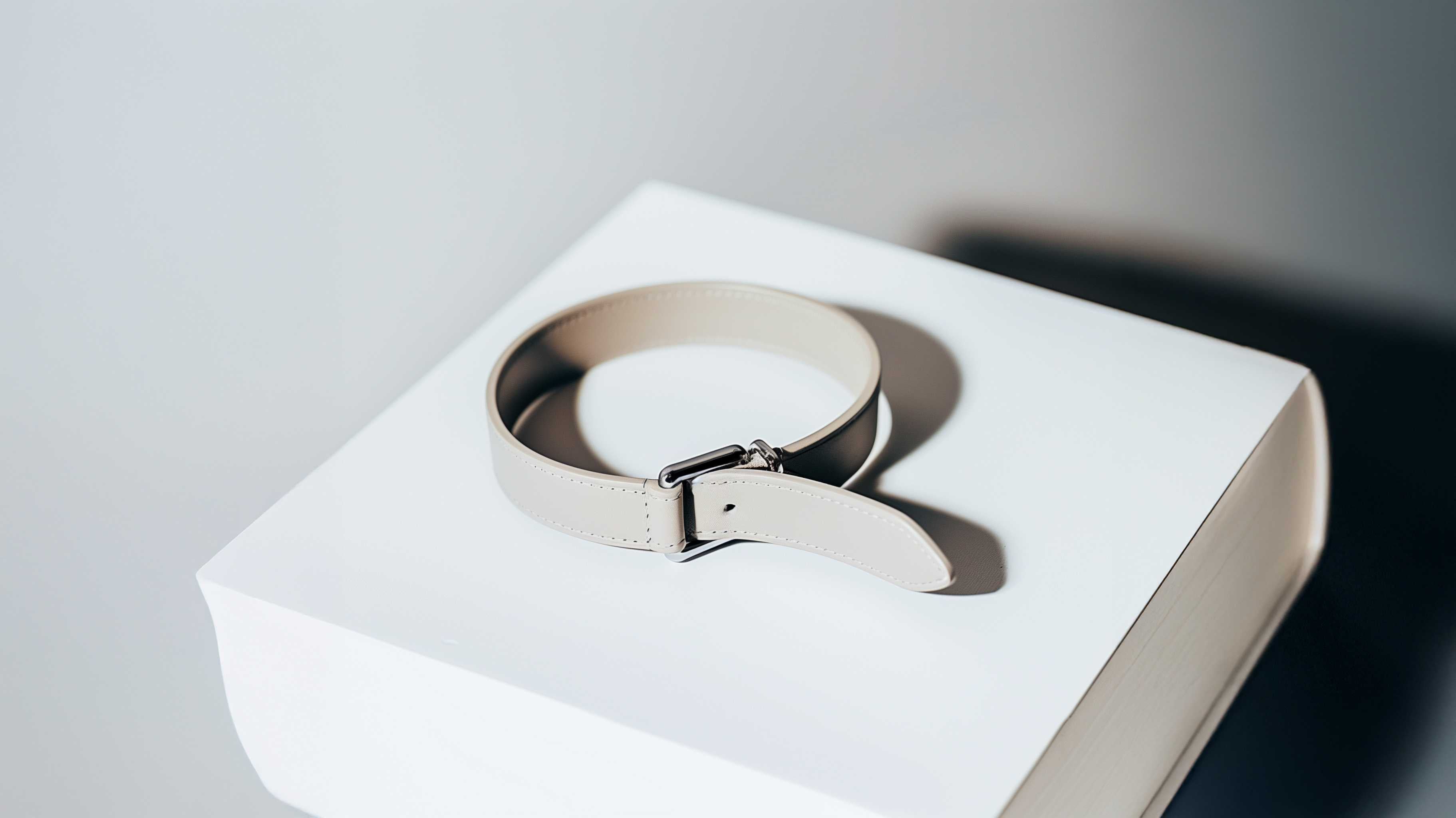 pet supplies, bracelet for cat 