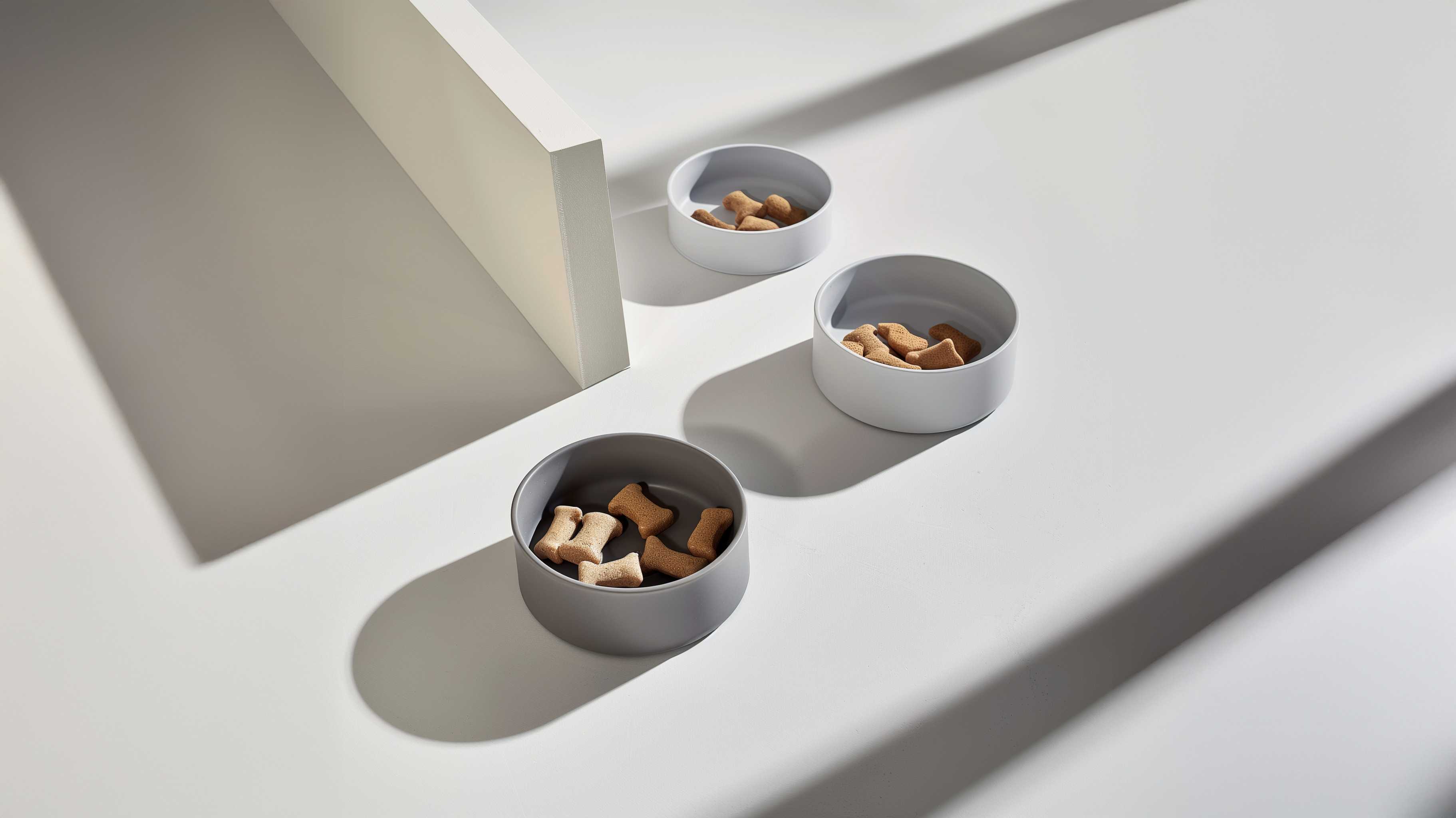 pet bowls feeder, animals pet supplies minimal