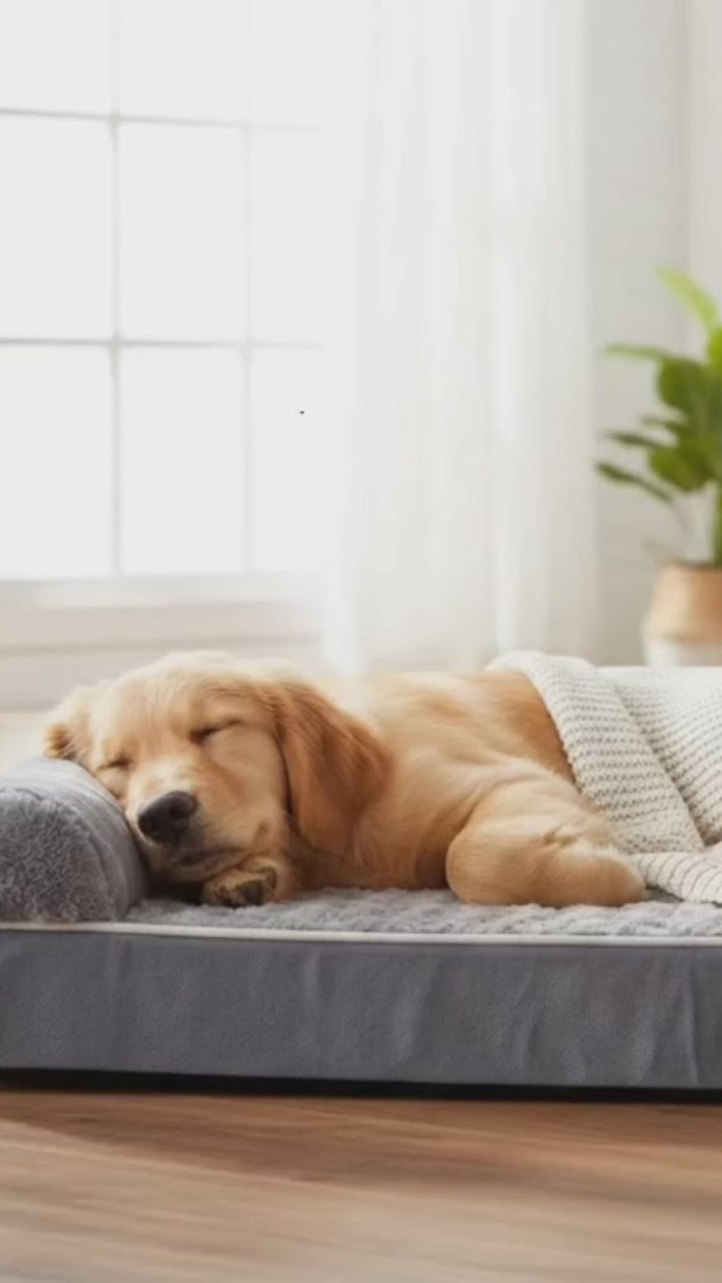 Luxury Washable Dog & Cat Bed – Soft Detachable Pet Mat for Medium & Large Pets